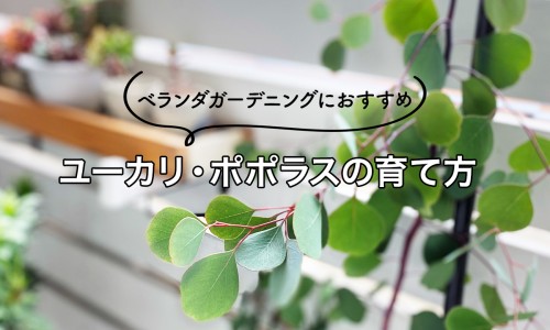 股骨头前期症状-股骨头骨折症状专区_股骨头疼是什么症状专区_股骨头出现症状什么样网