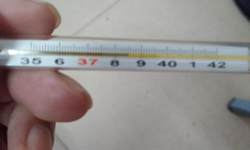 股骨头骨折症状专区_股骨头疼是什么症状专区_股骨头出现症状什么样网